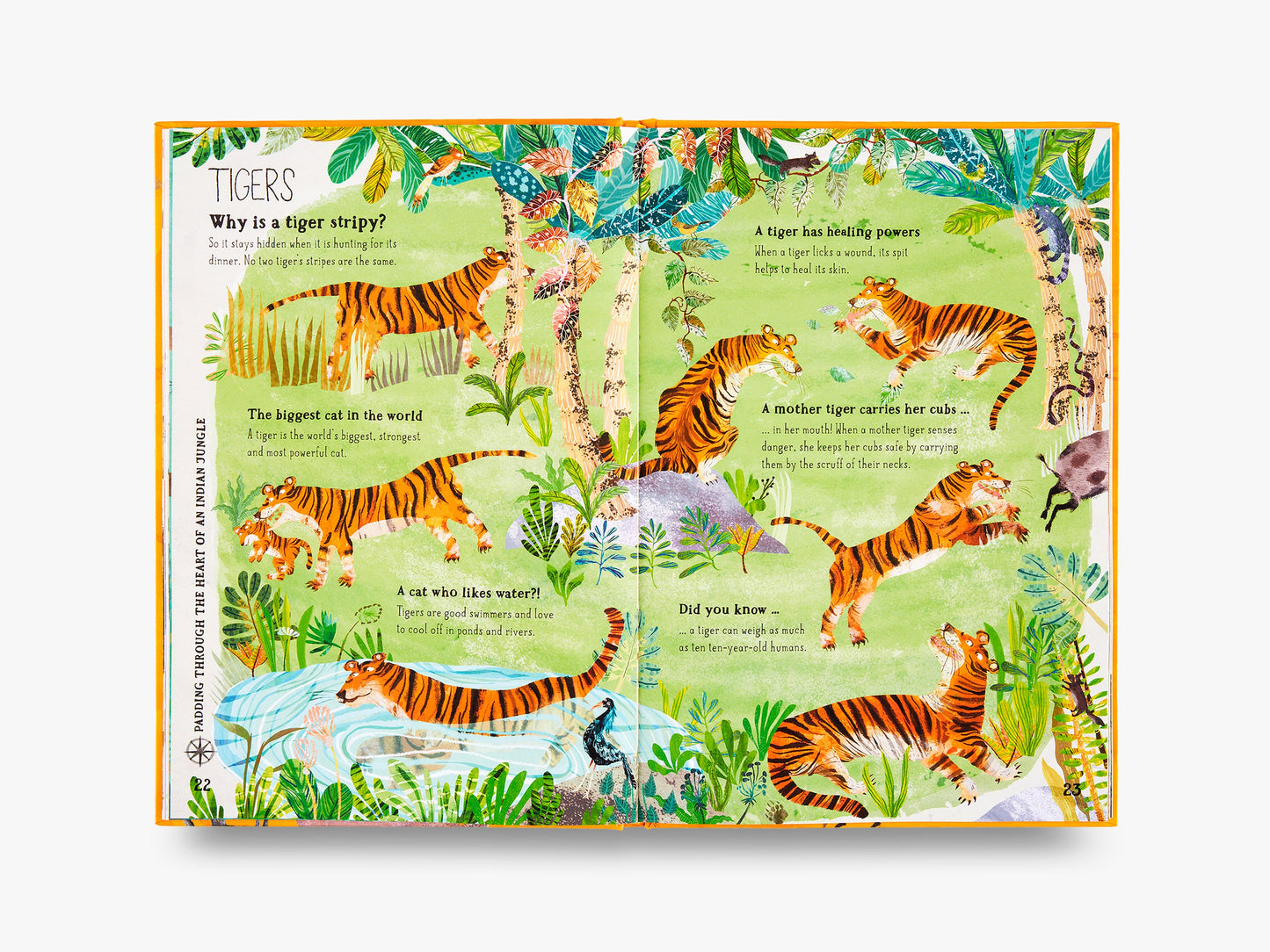 The Big Book of Beasts