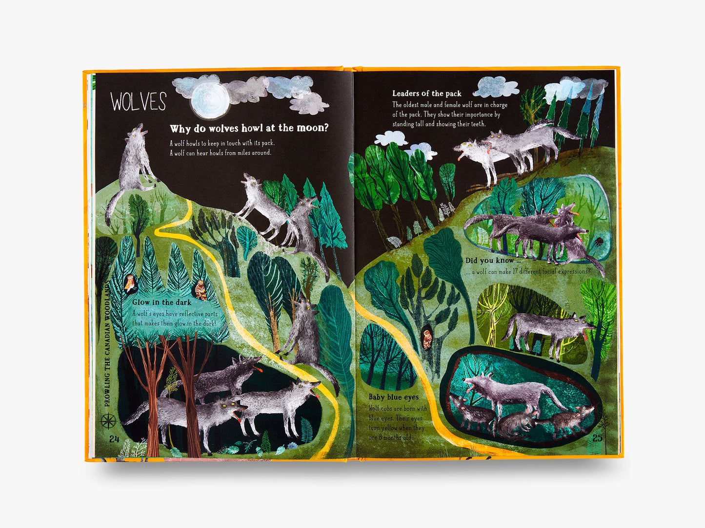 The Big Book of Beasts