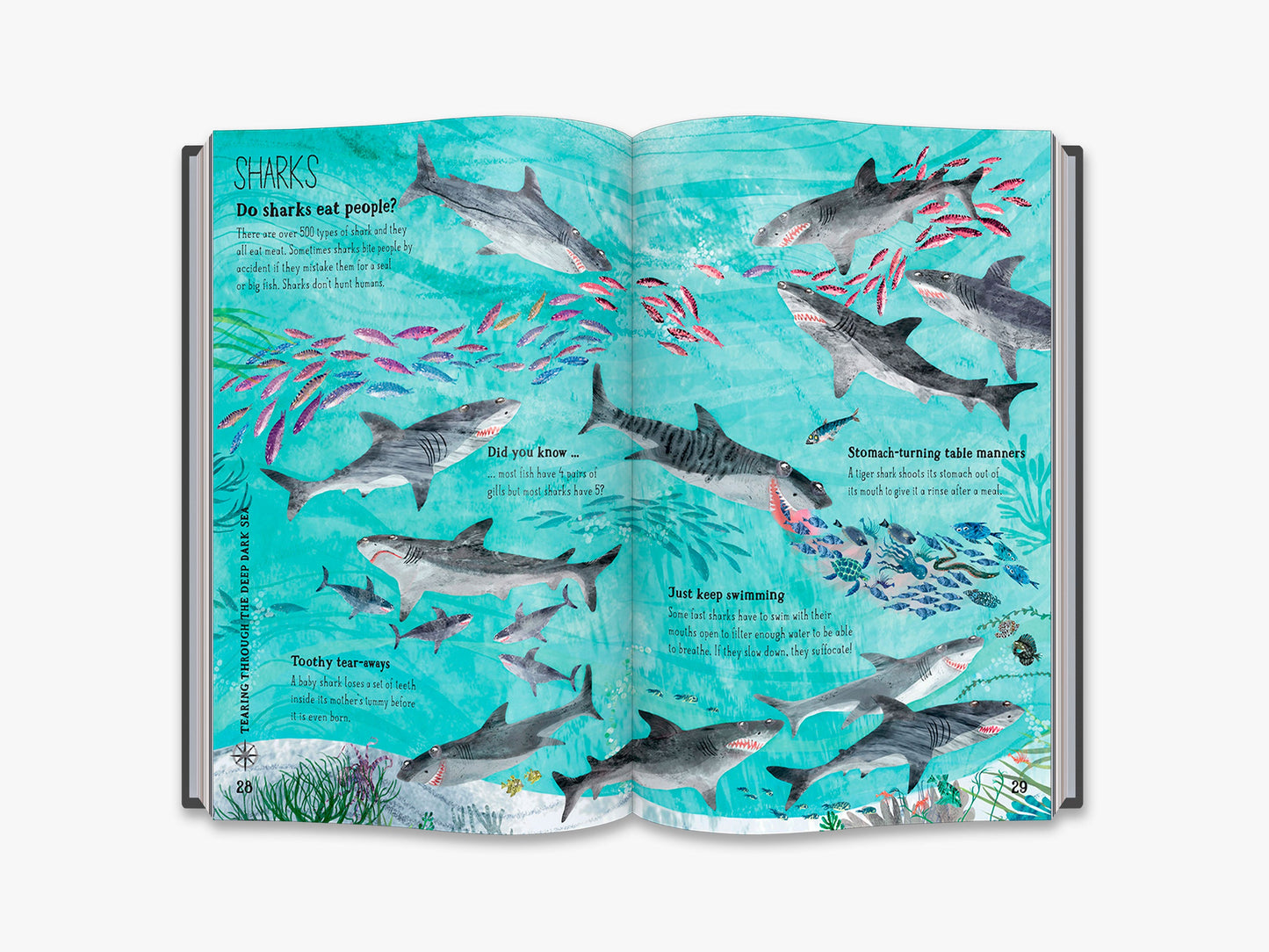 The Big Book of the Blue