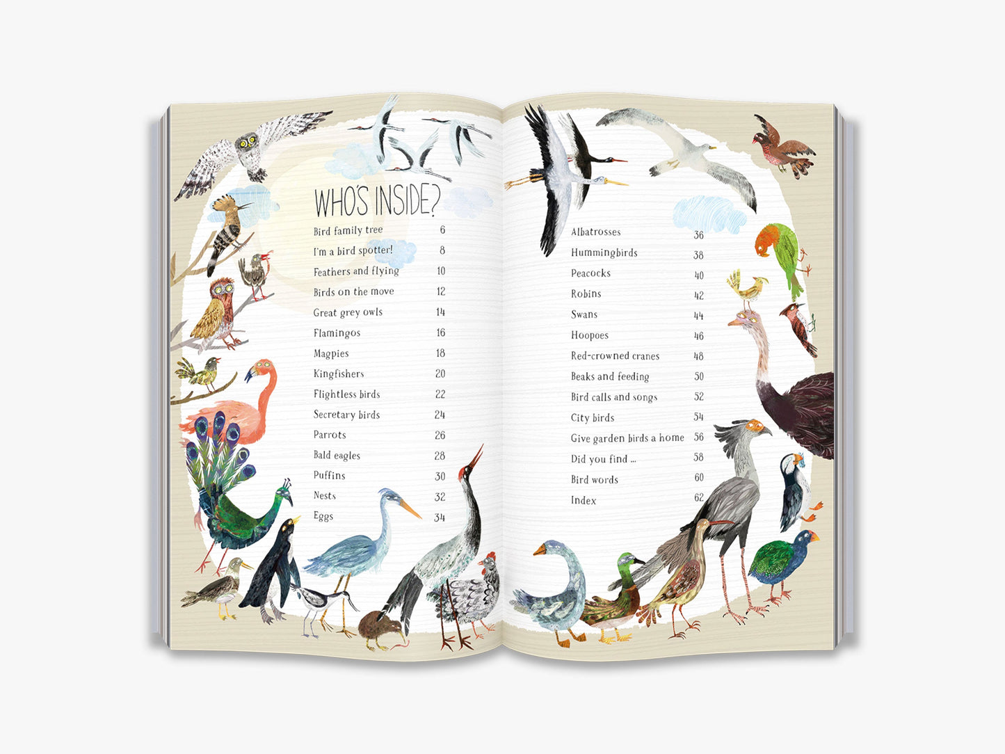 The Big Book of Birds