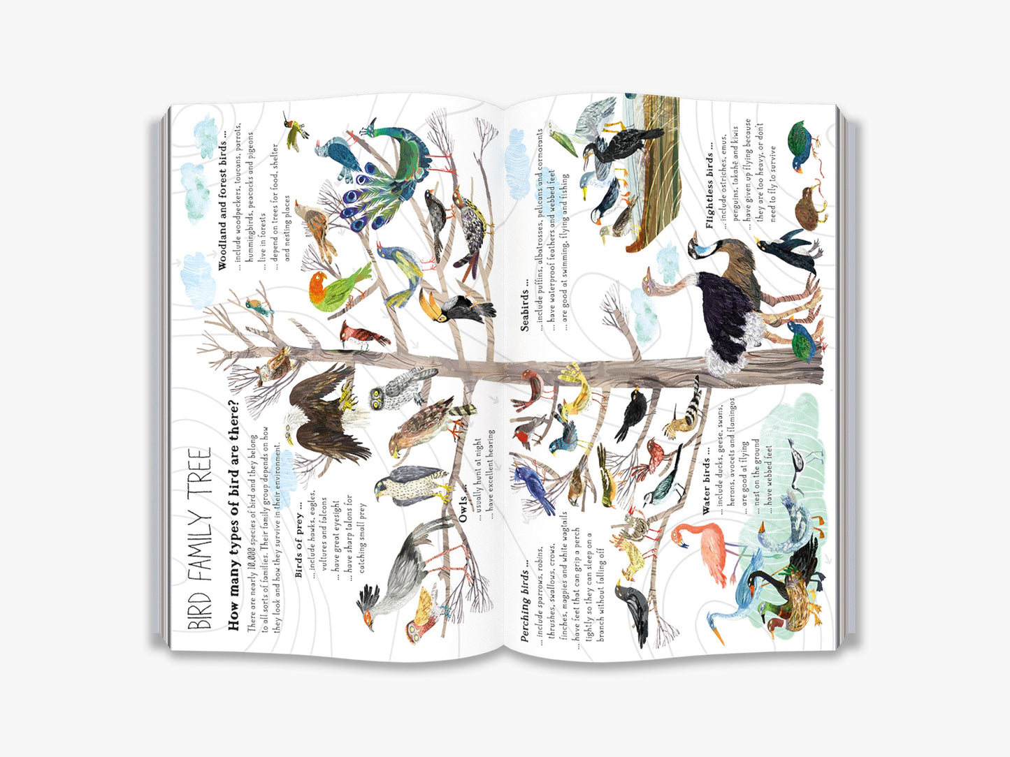 The Big Book of Birds