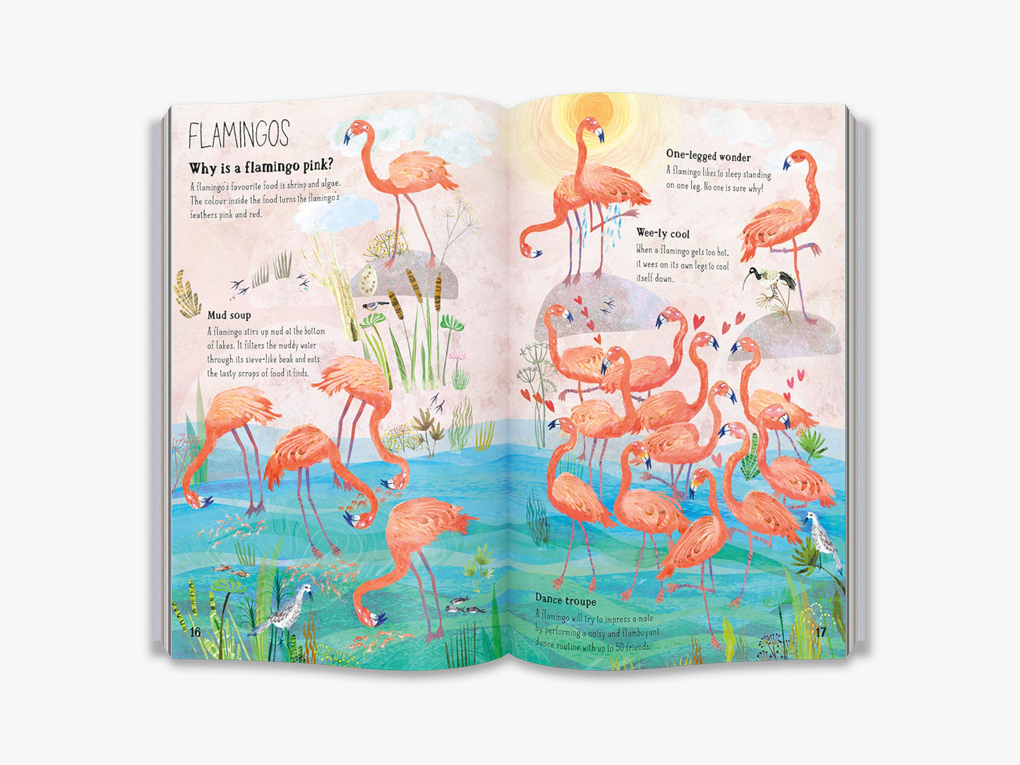 The Big Book of Birds