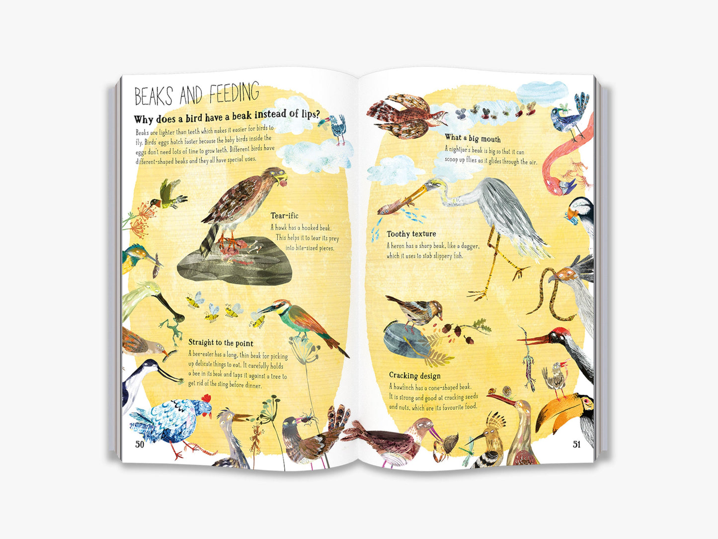 The Big Book of Birds