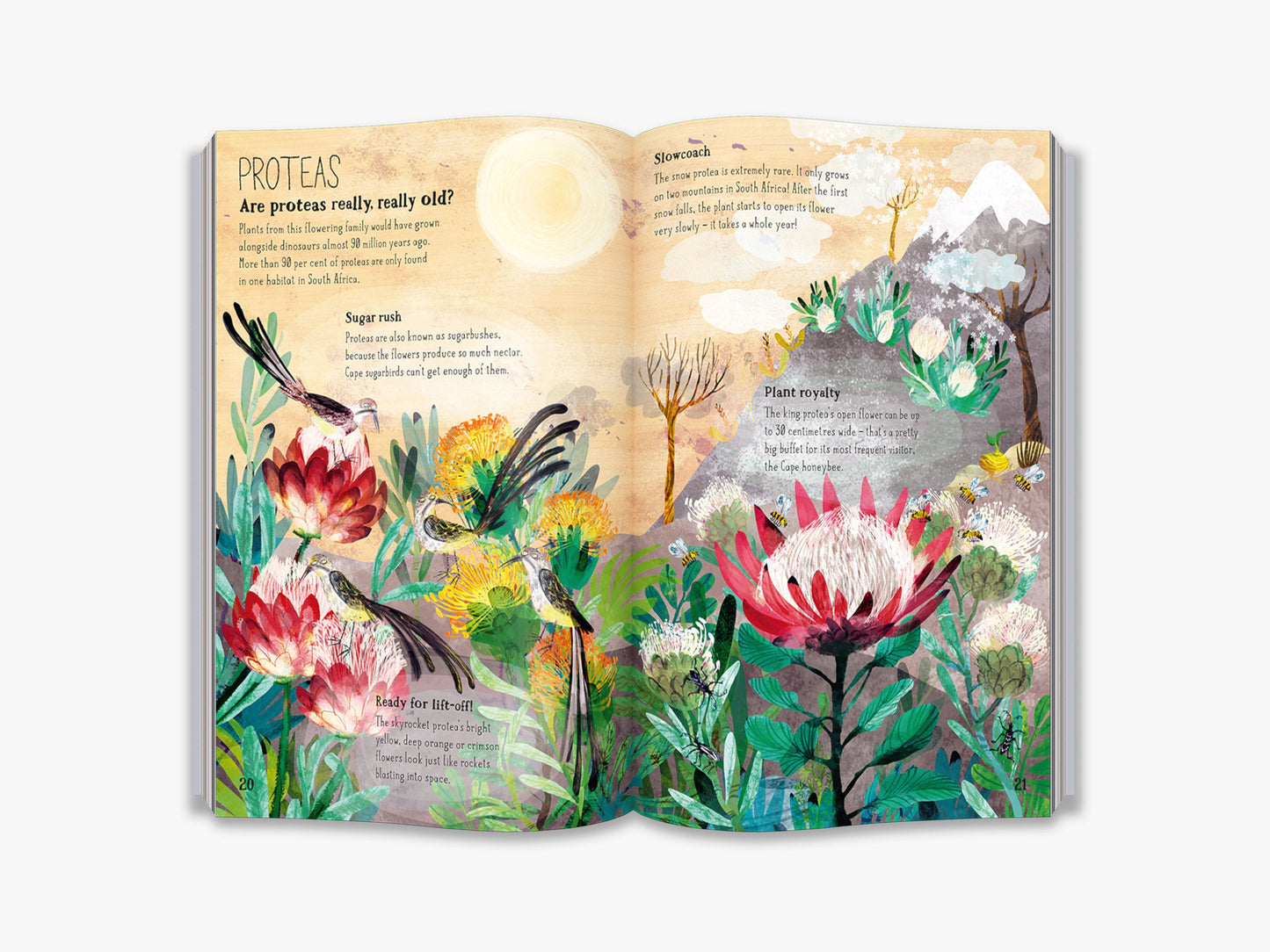 The Big Book of Blooms