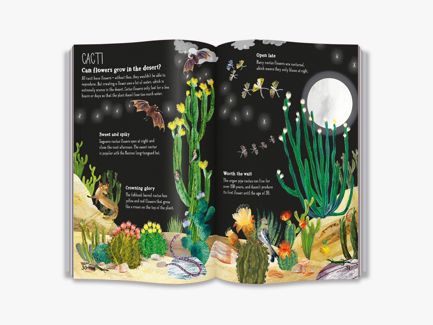 The Big Book of Blooms