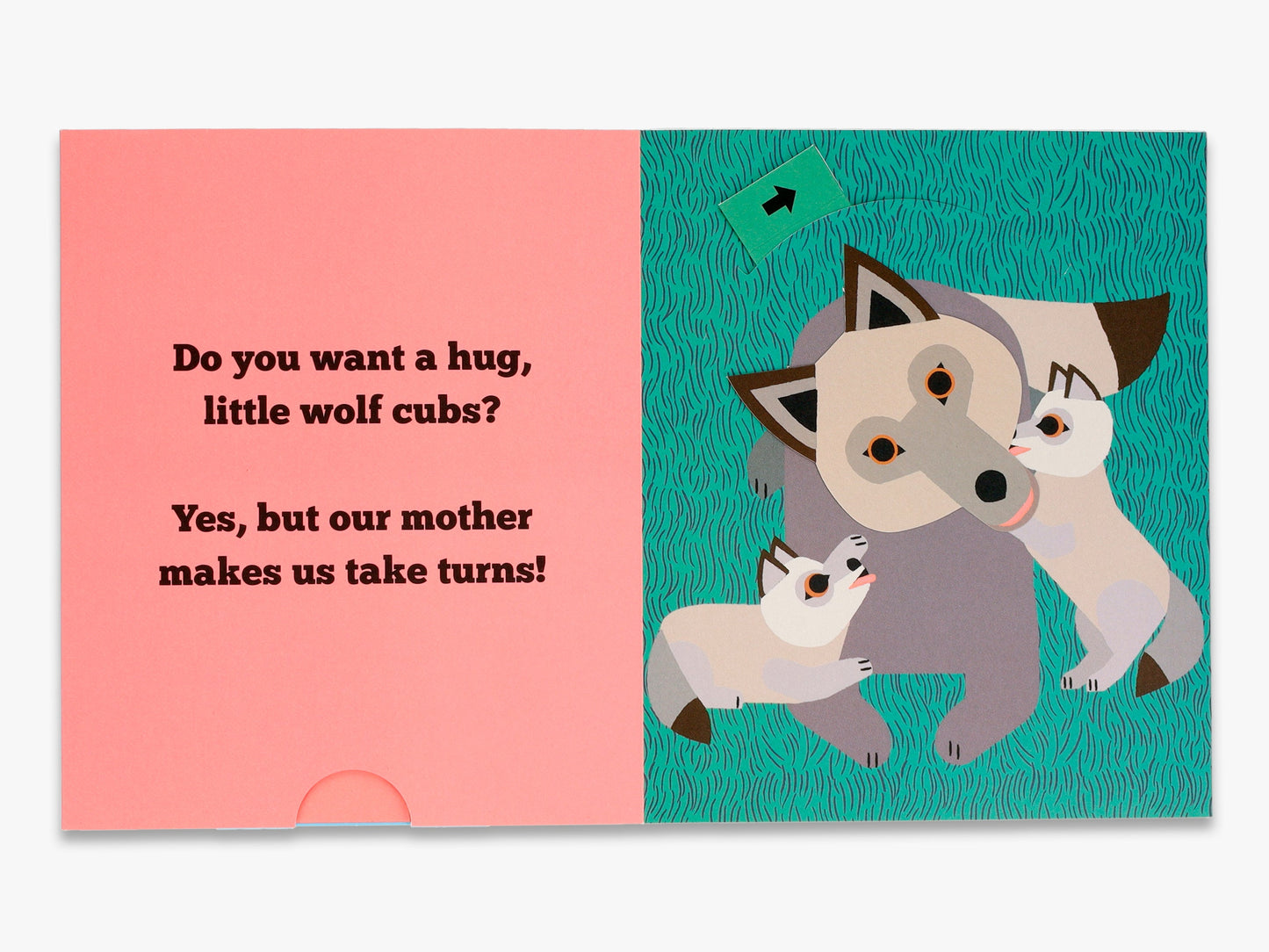 A Flip Flap Pop Up Book