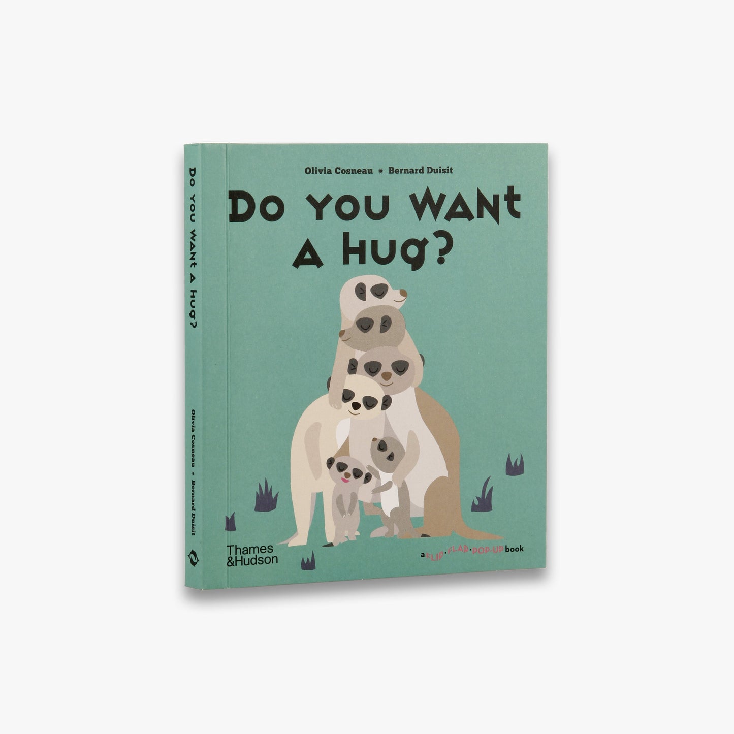 A Flip Flap Pop Up Book