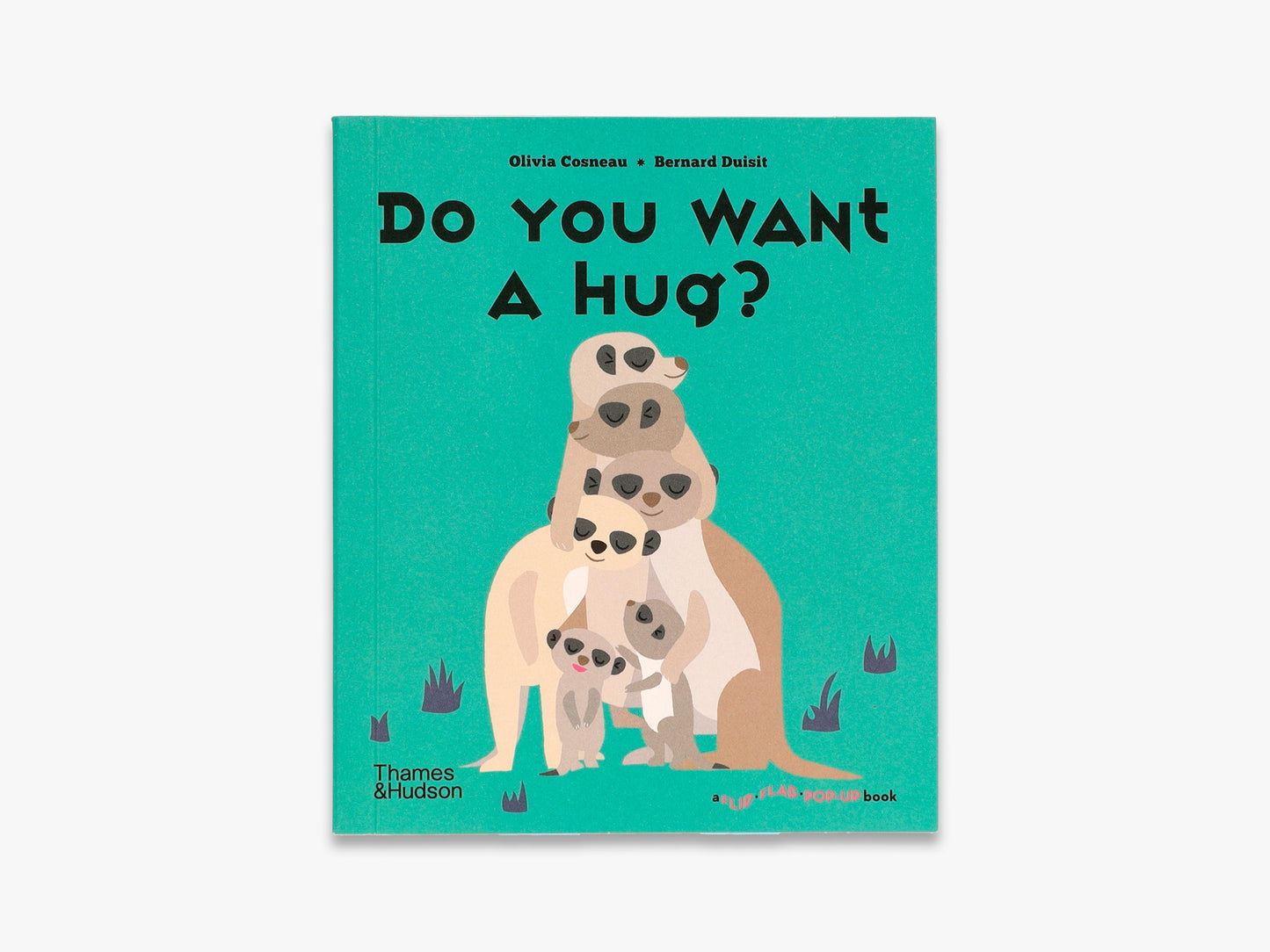 A Flip Flap Pop Up Book