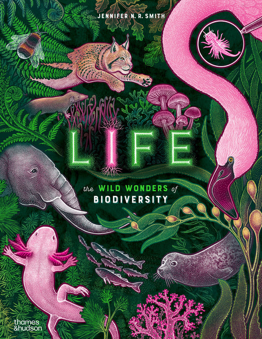 Life: The wild wonders of biodiversity