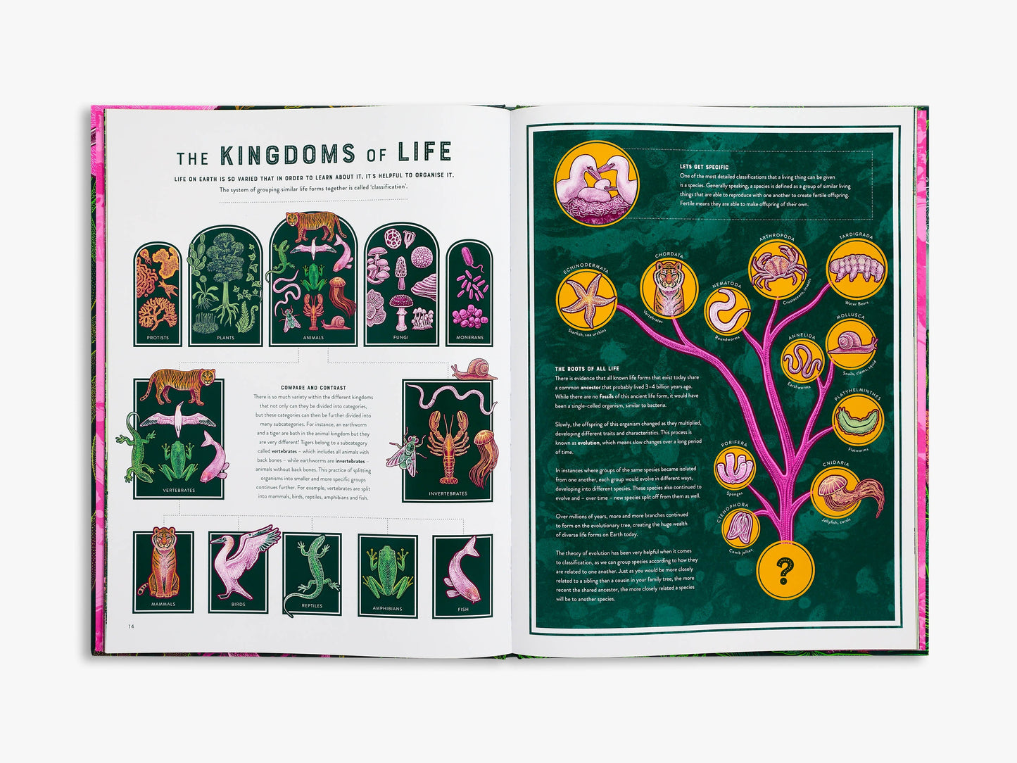 Life: The wild wonders of biodiversity