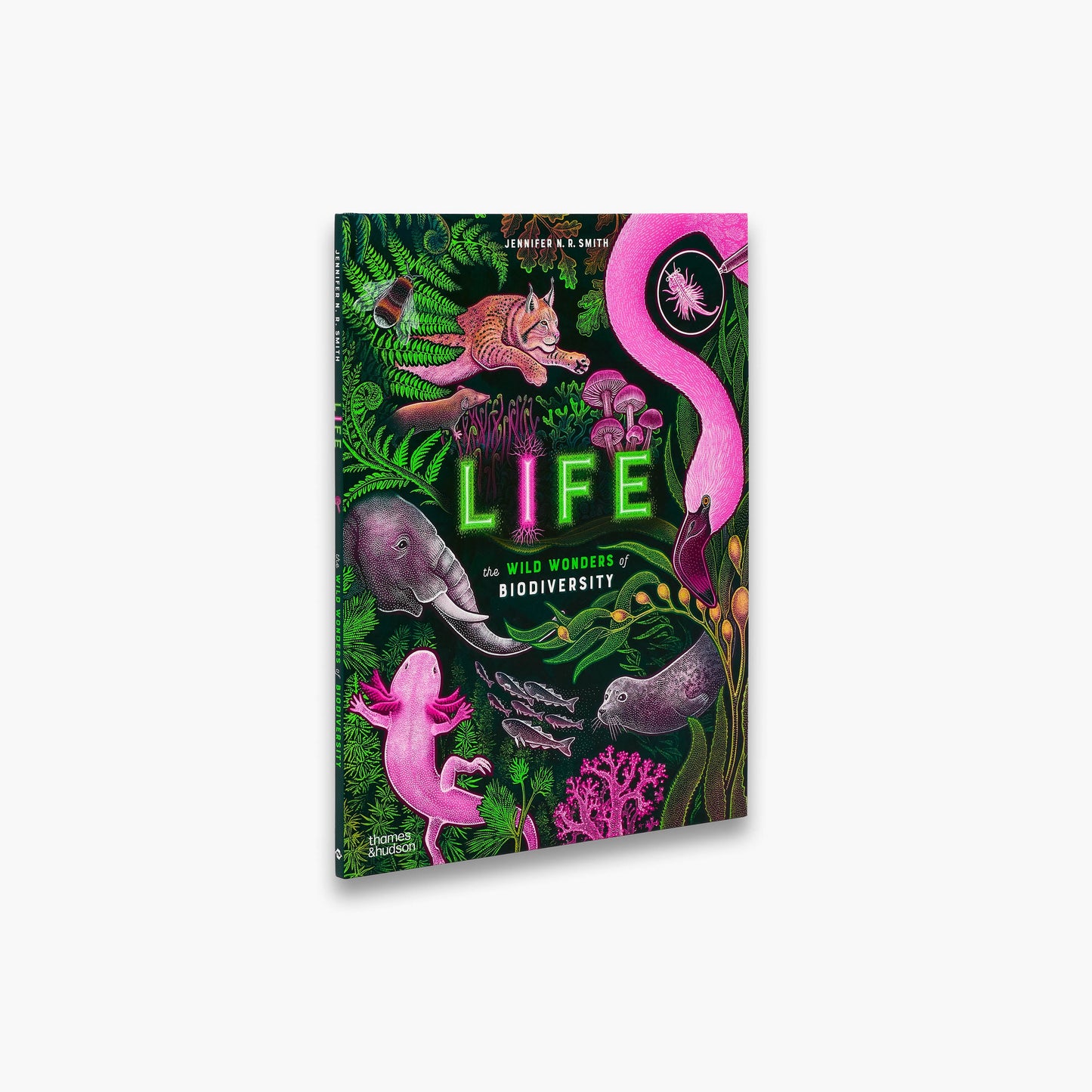 Life: The wild wonders of biodiversity