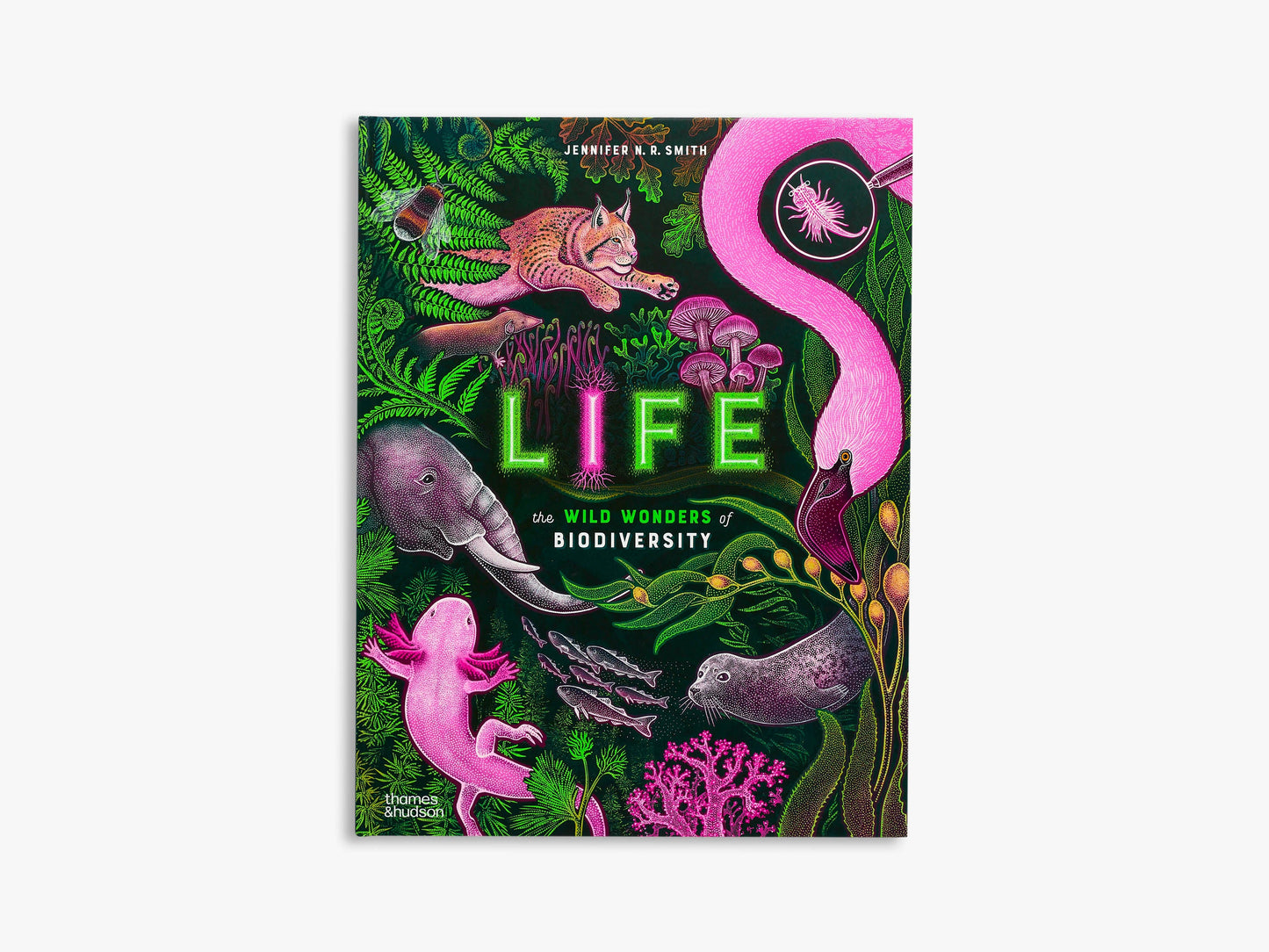 Life: The wild wonders of biodiversity