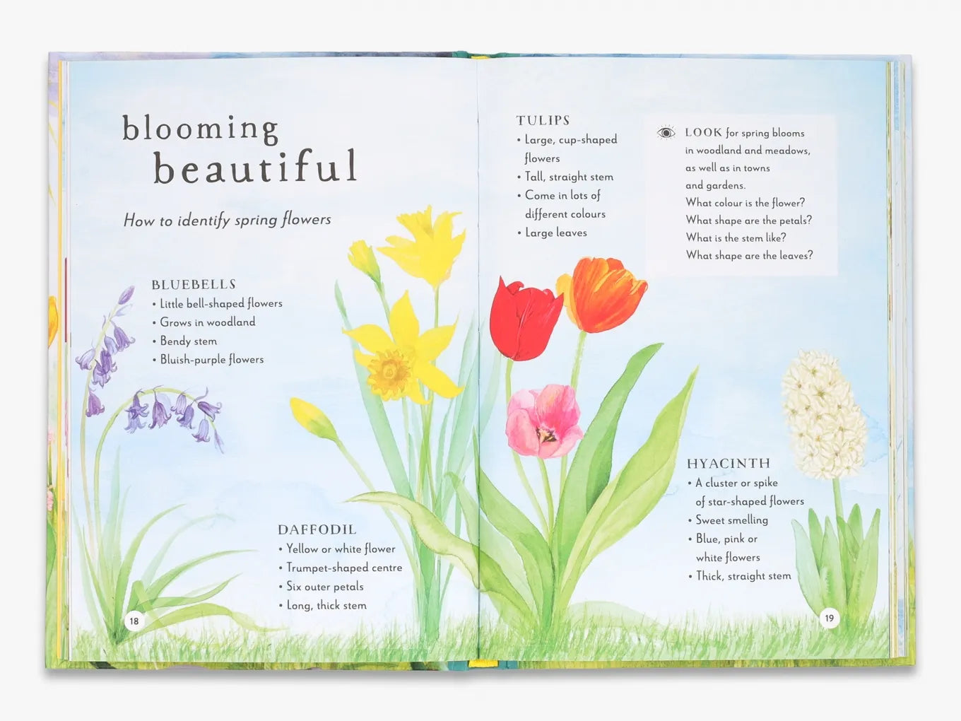 Field Guide series