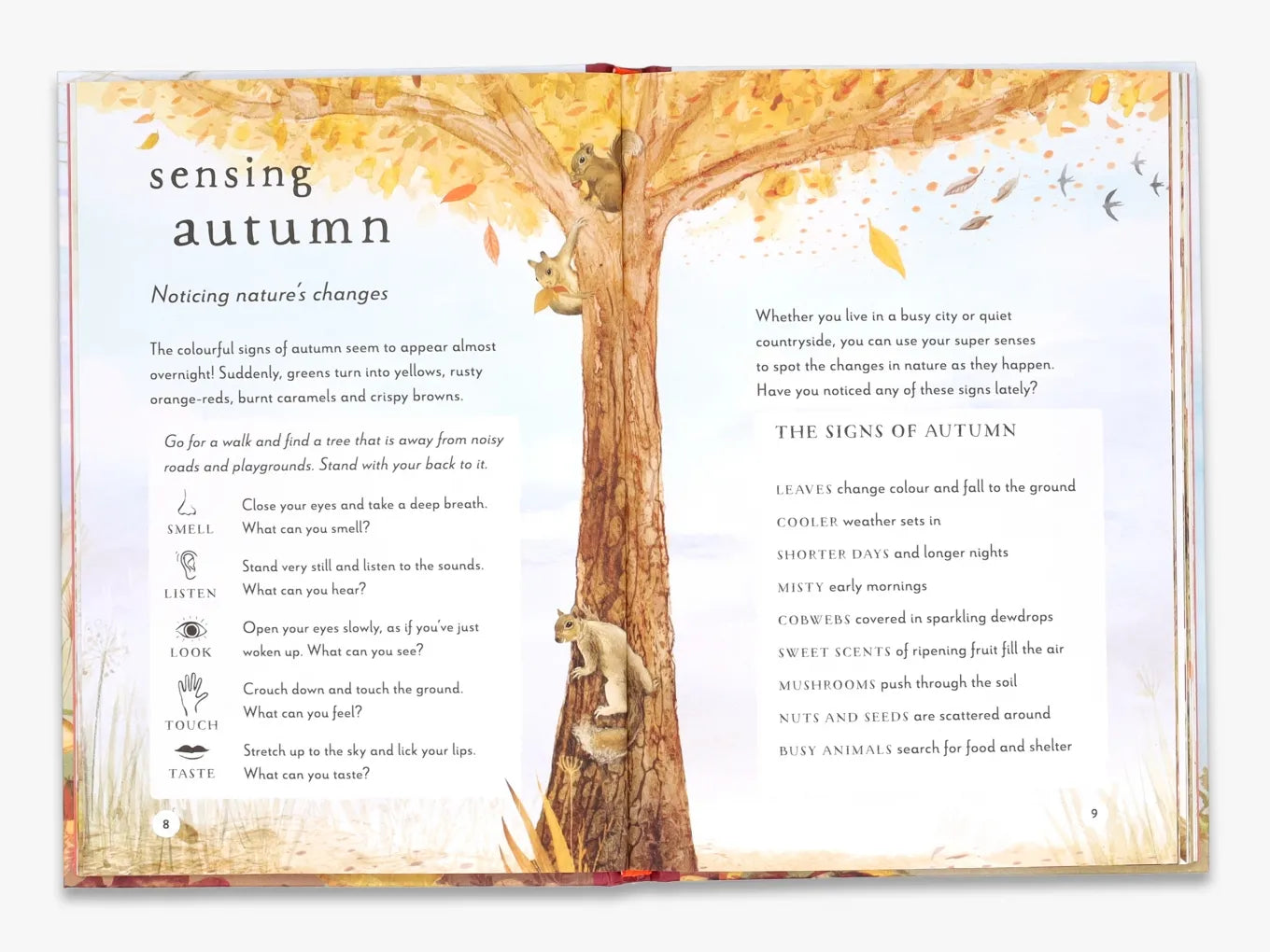 A Field Guide to Autumn: Play and learn in nature