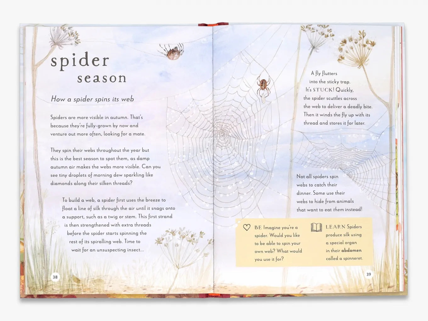 A Field Guide to Autumn: Play and learn in nature