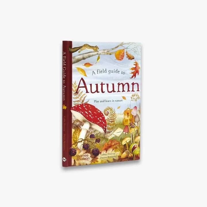 A Field Guide to Autumn: Play and learn in nature