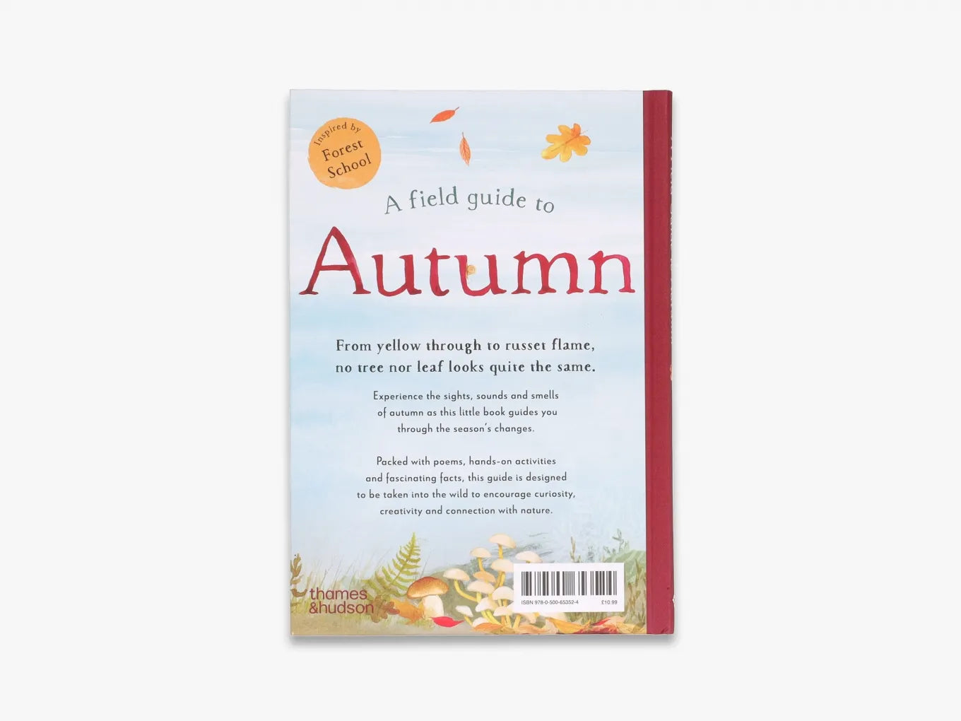 A Field Guide to Autumn: Play and learn in nature