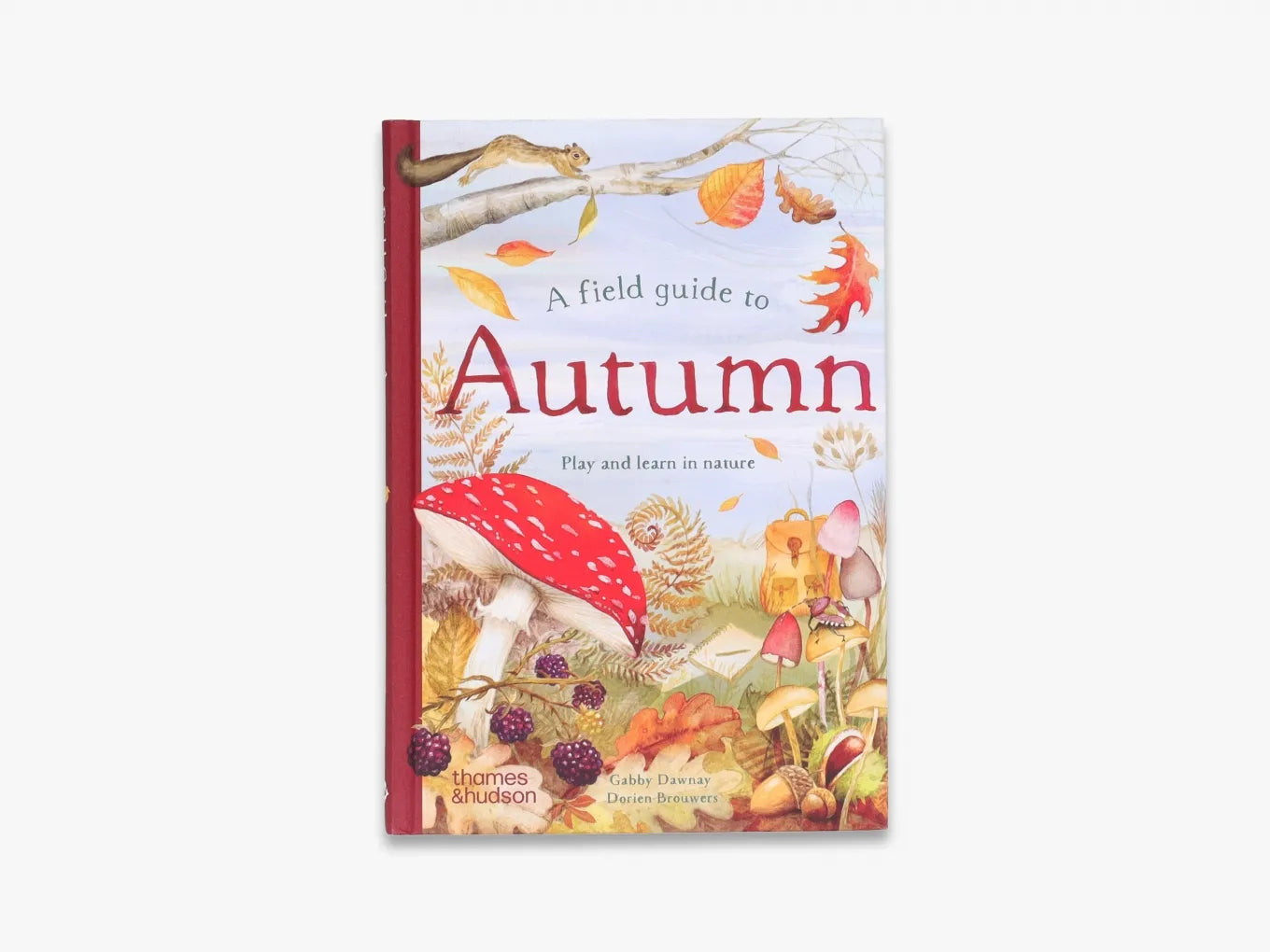A Field Guide to Autumn: Play and learn in nature