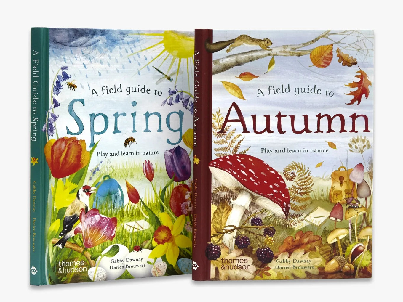 A Field Guide to Autumn: Play and learn in nature