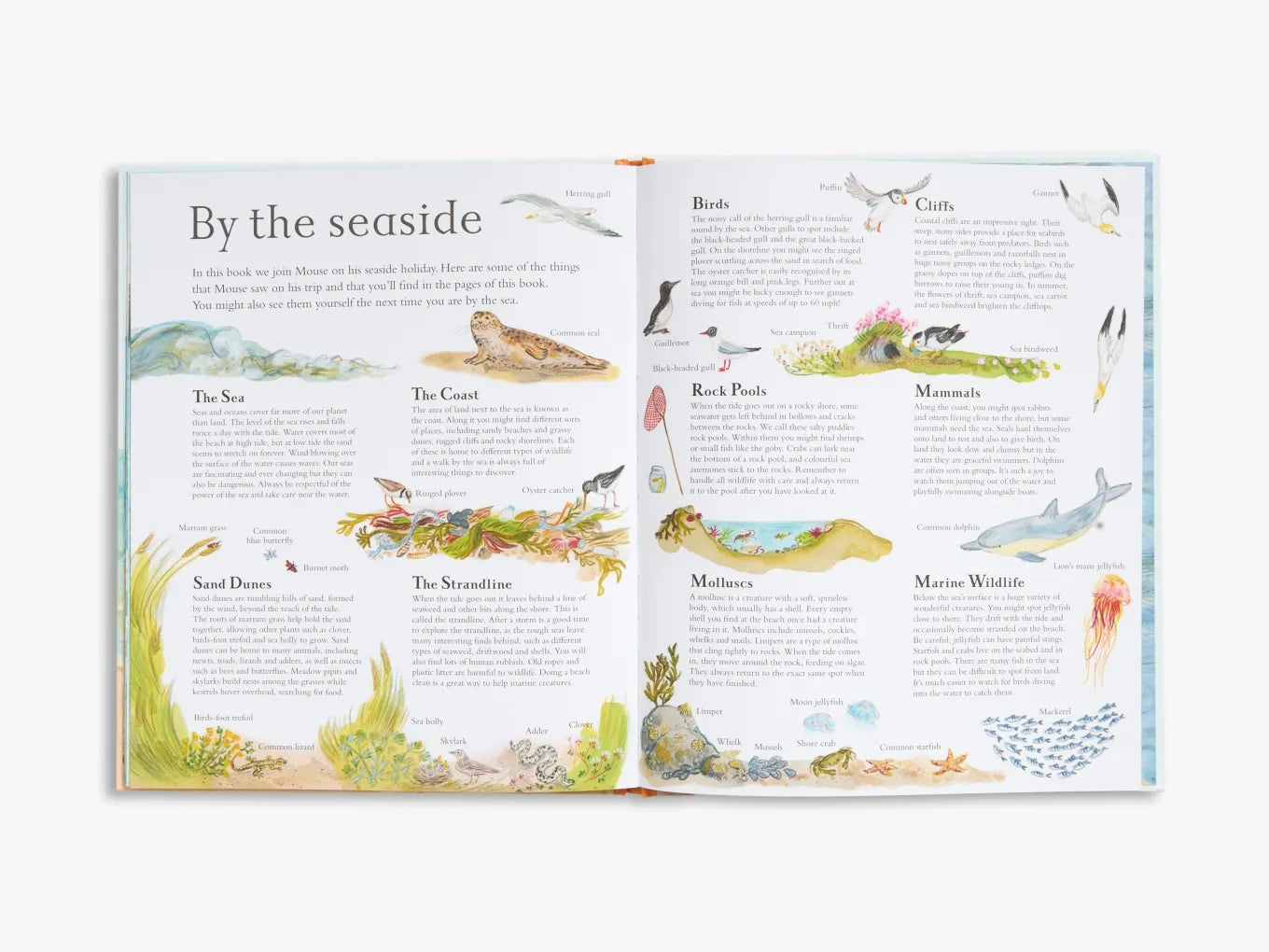 Mouse’s Wood series