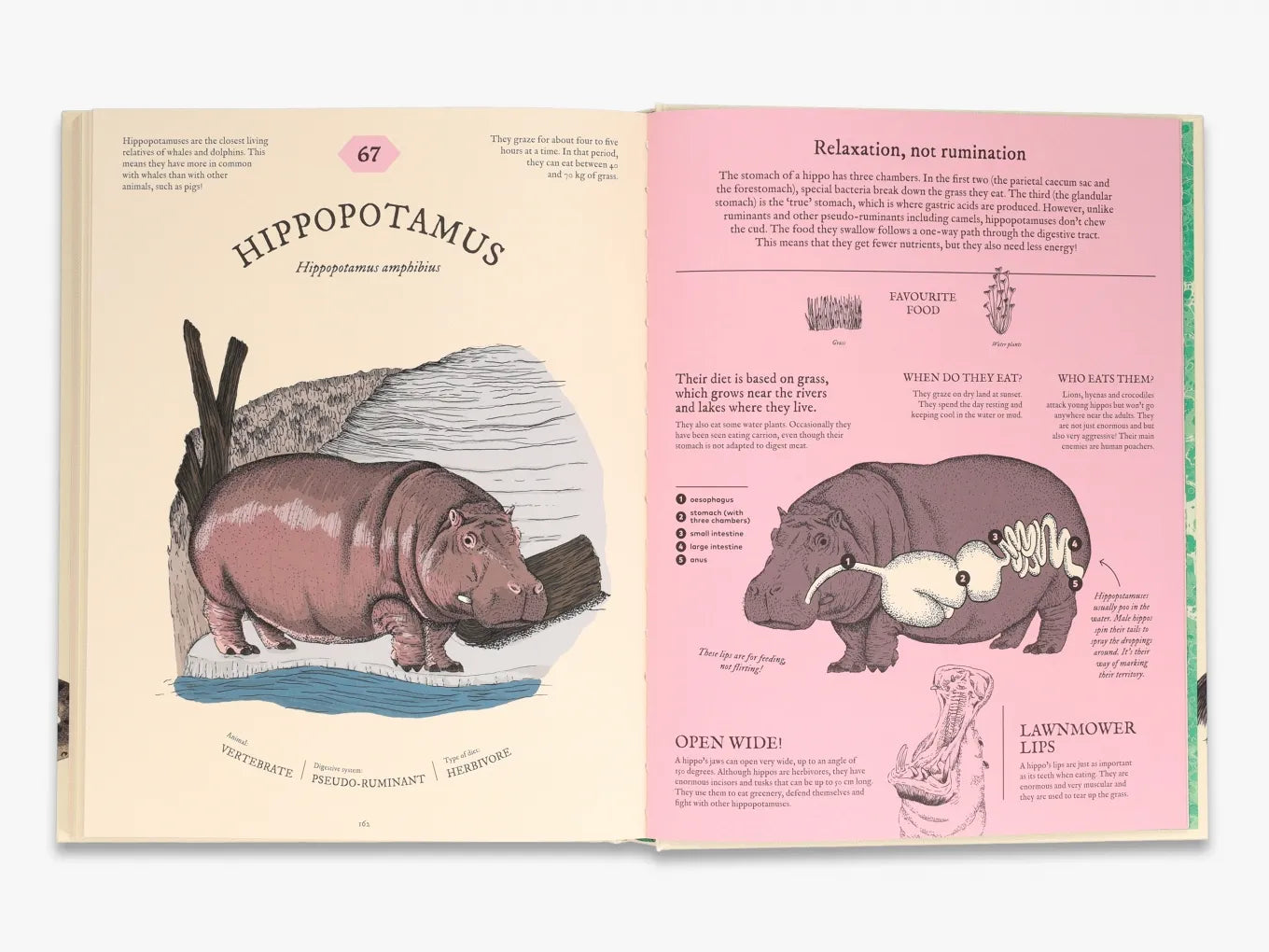 Eatopedia