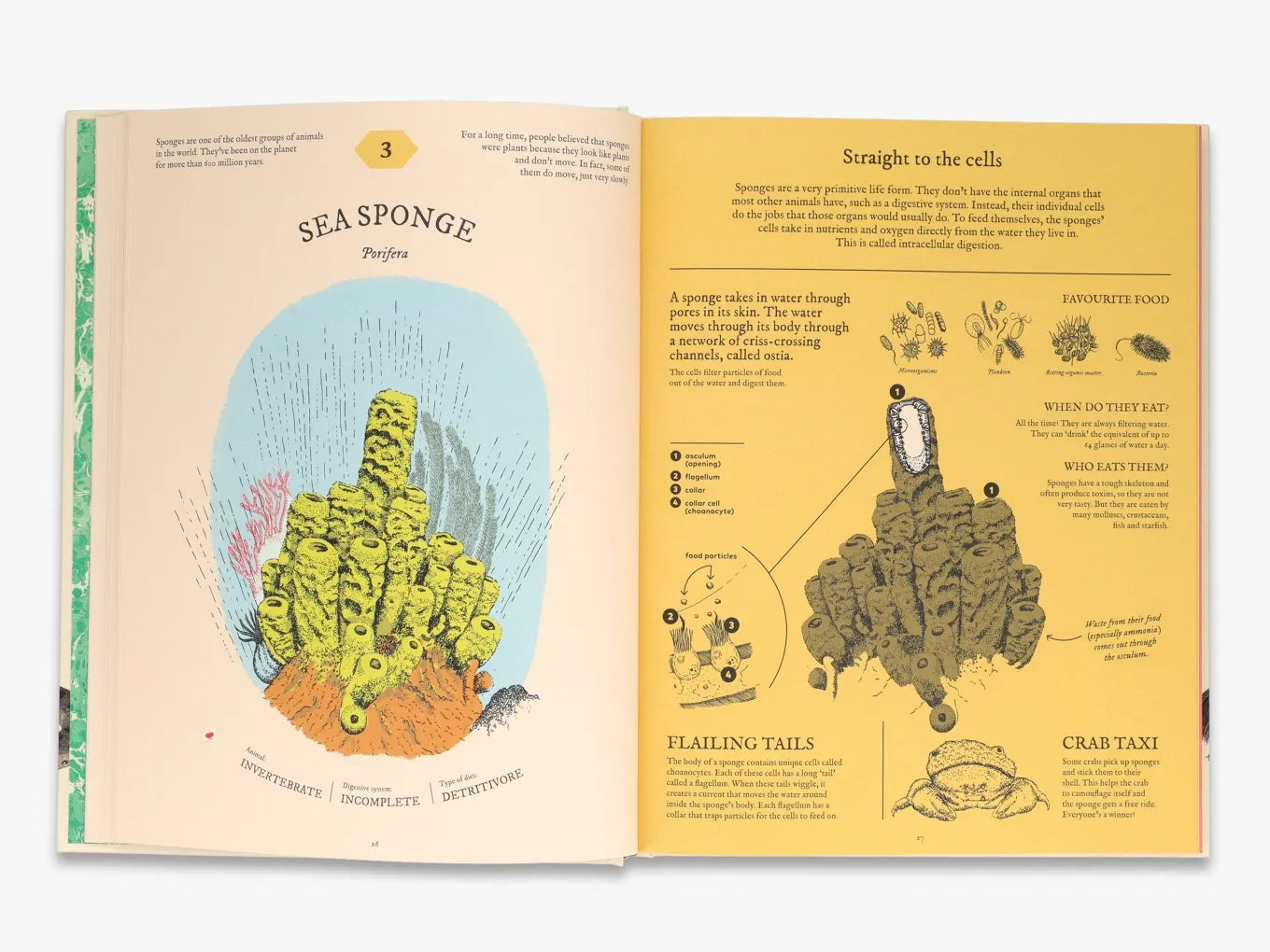 Eatopedia