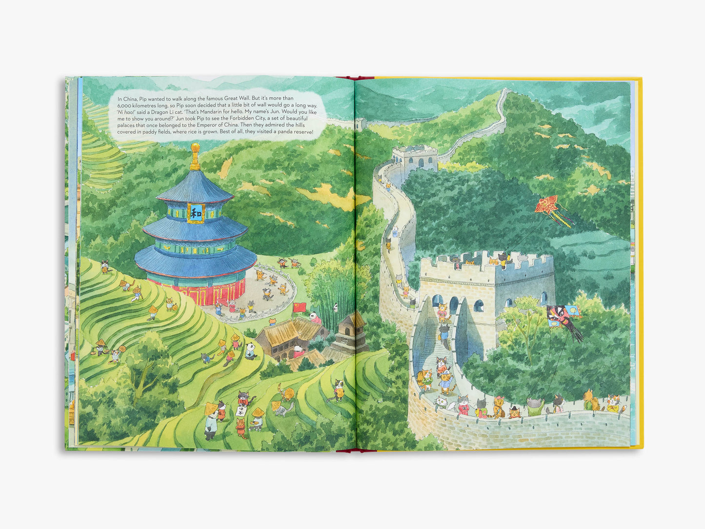 Pip's Trip Around the World