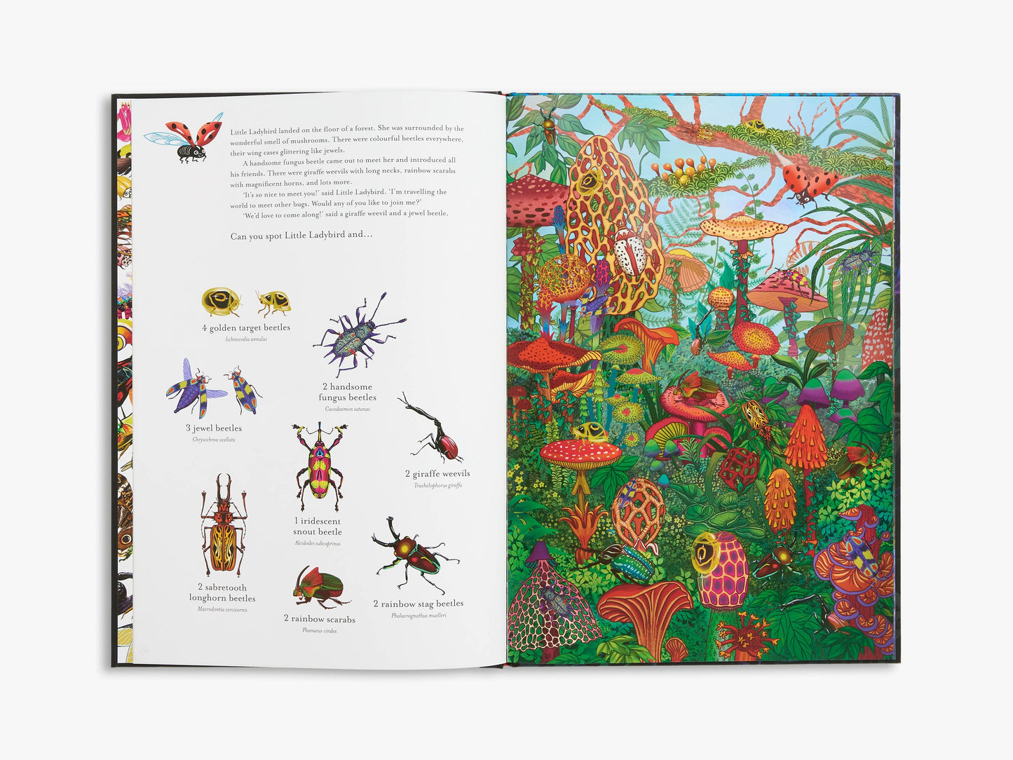 The Incredible 3D Bug Hunt