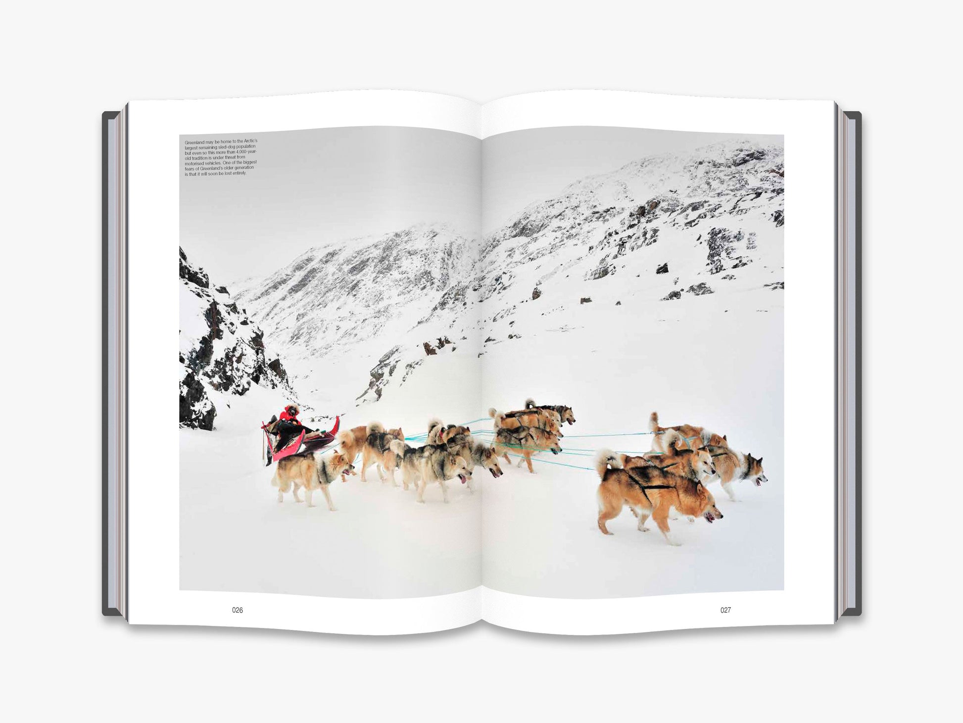 The Monocle Book of the Nordics - interior 1