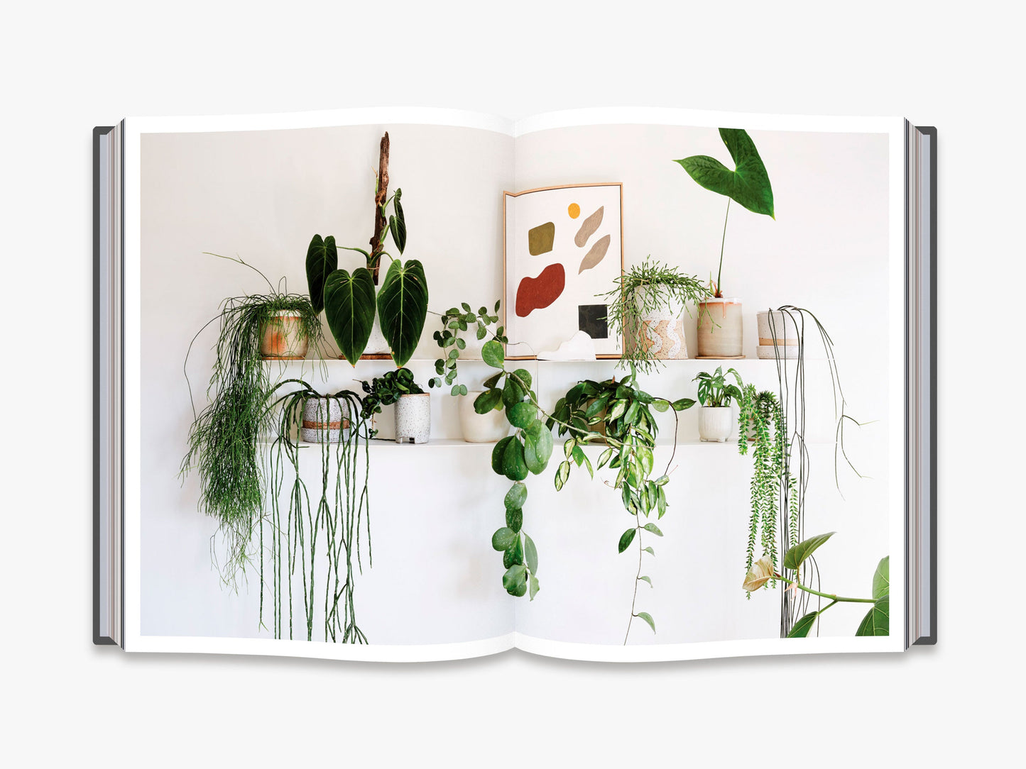 Nature Style - interior 4