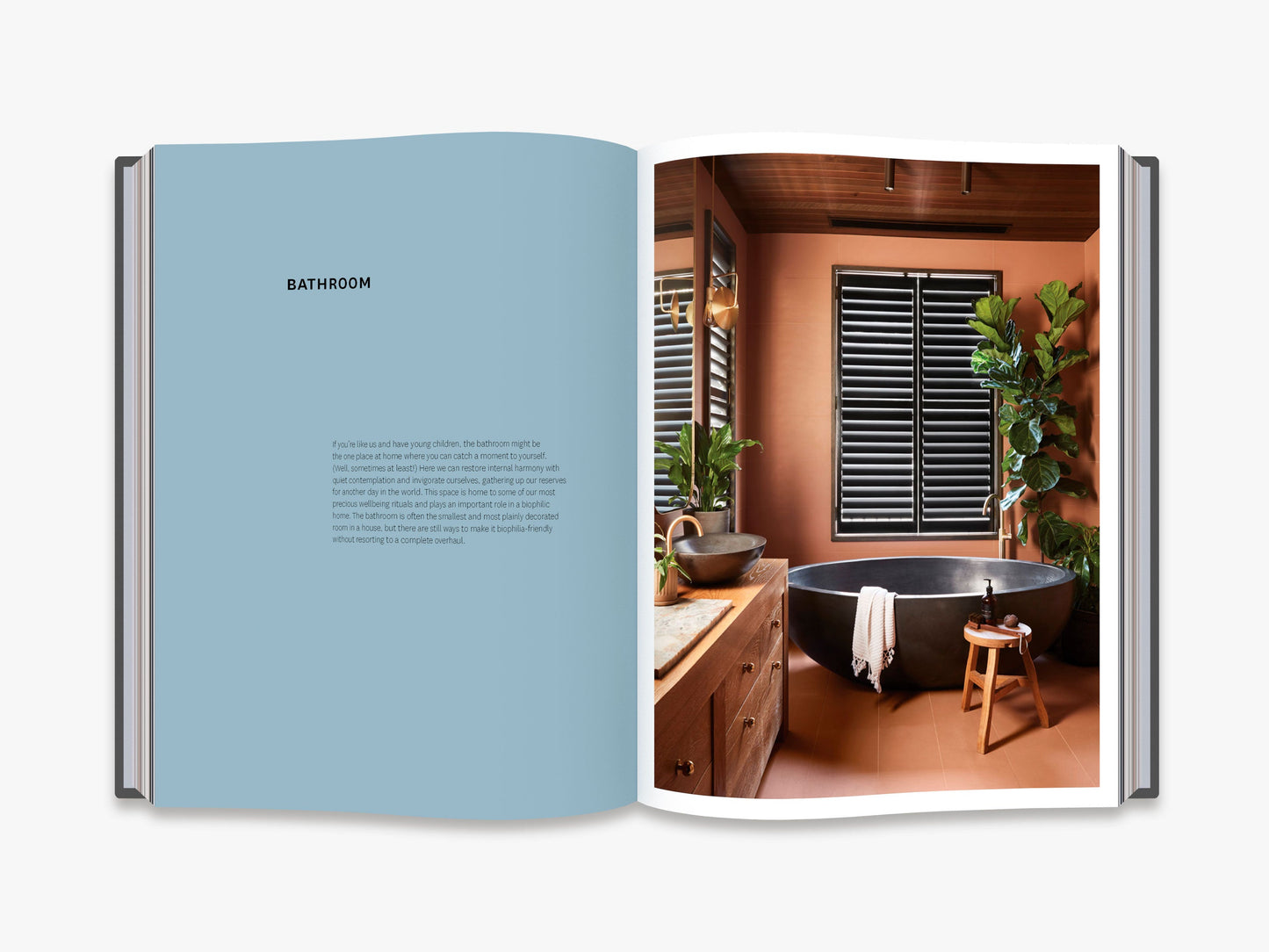 Nature Style - interior 5