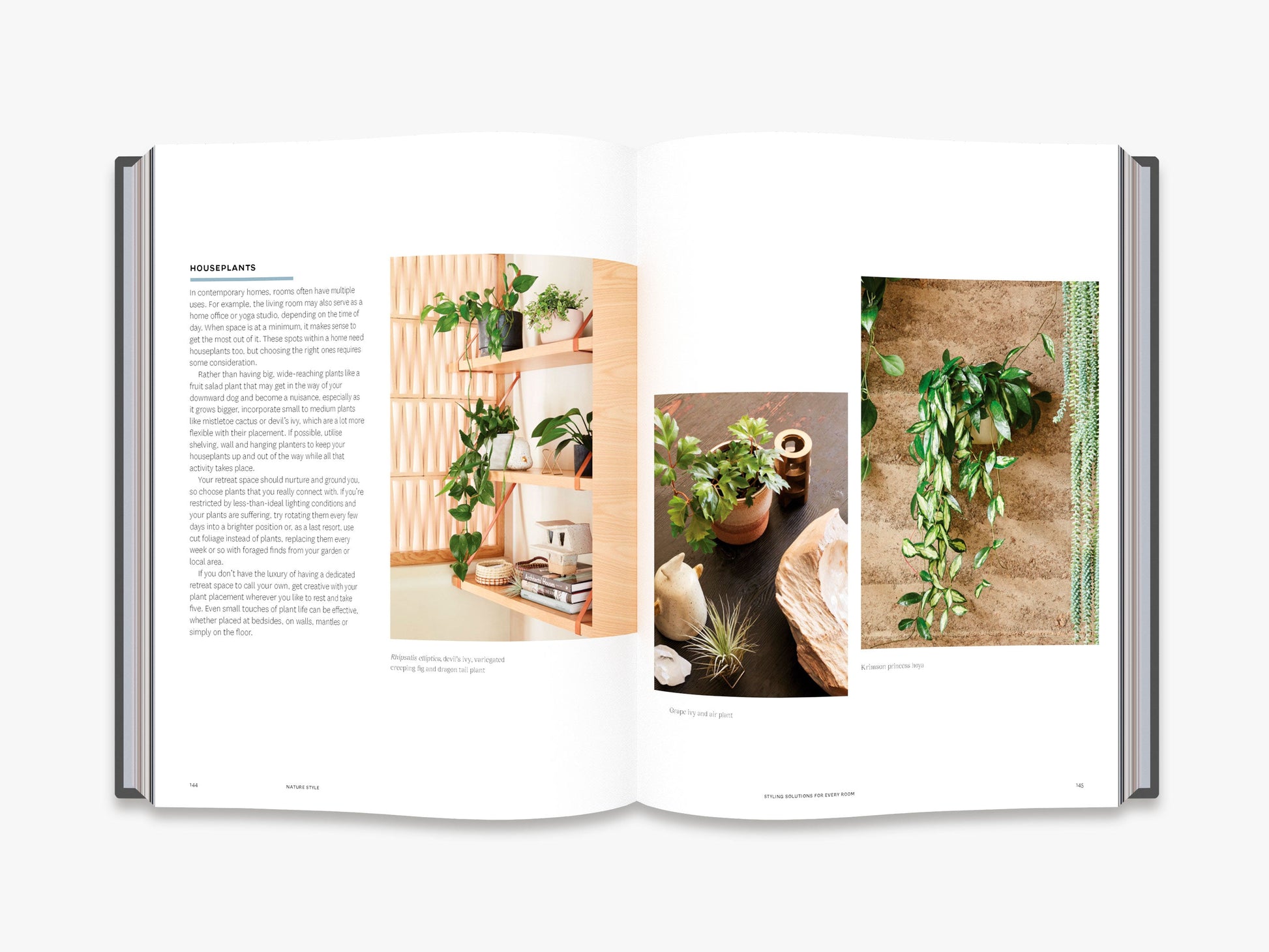 Nature Style - interior 6