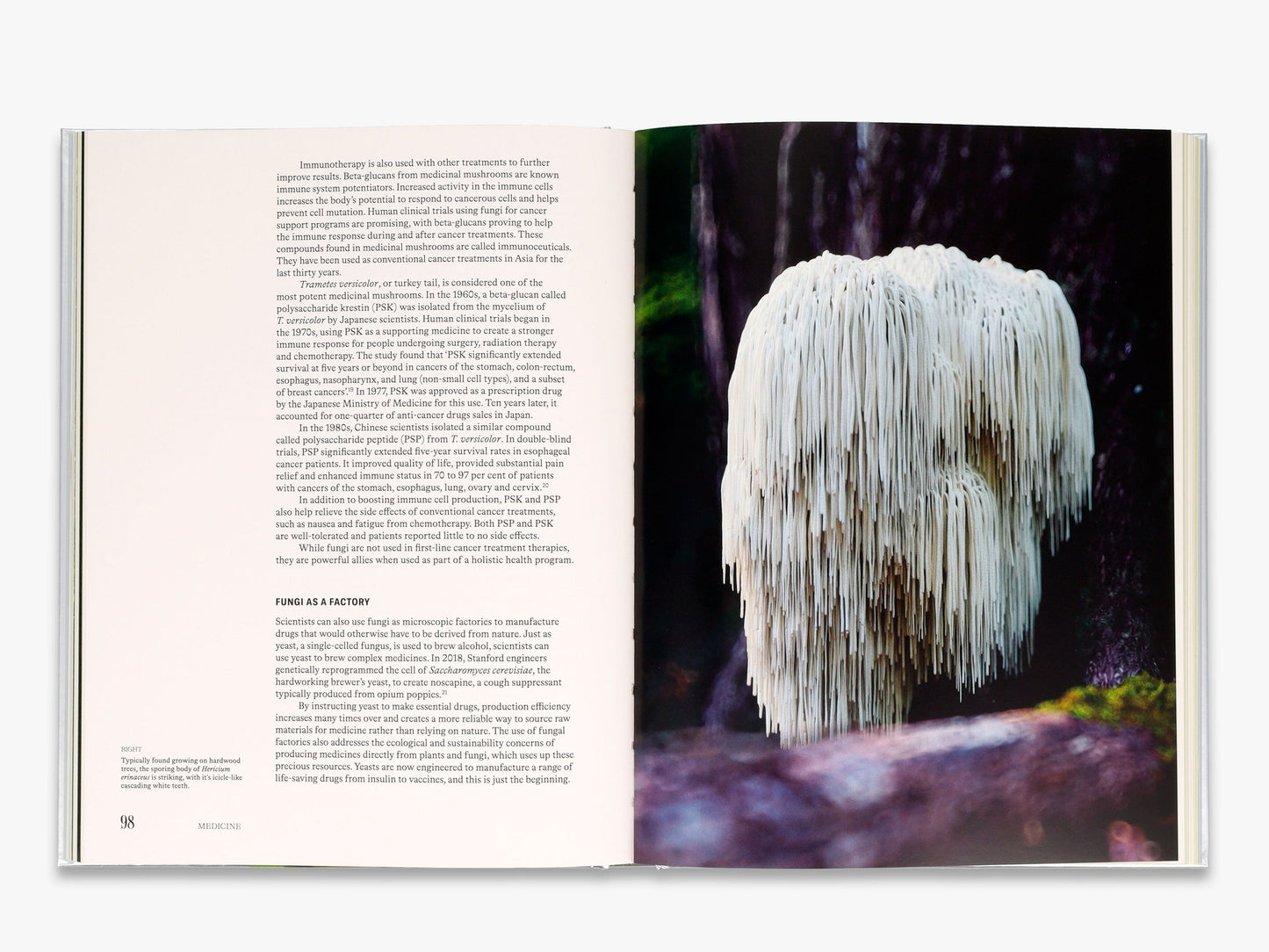 The Future is Fungi