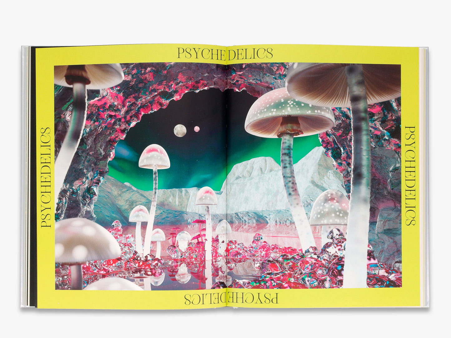 The Future is Fungi