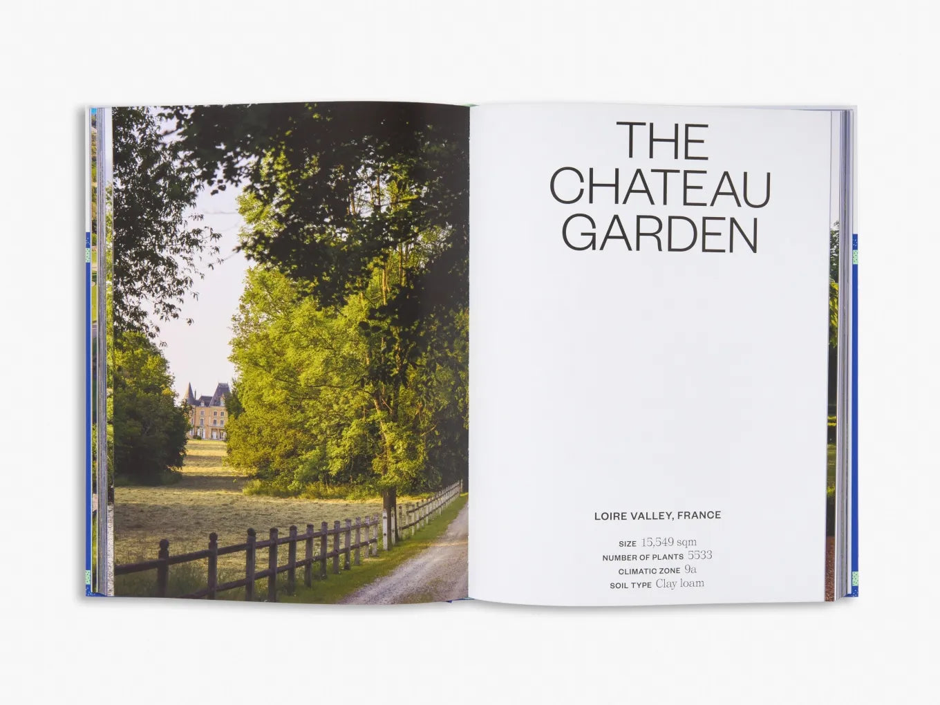 Big Garden Design