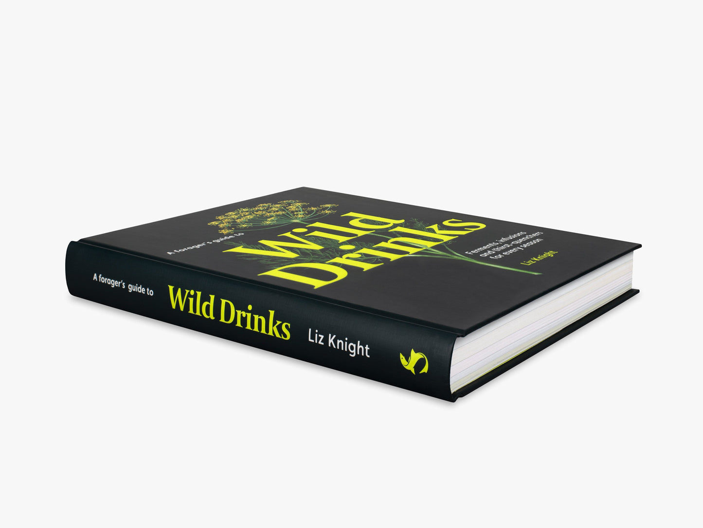 A Forager's Guide to Wild Drinks