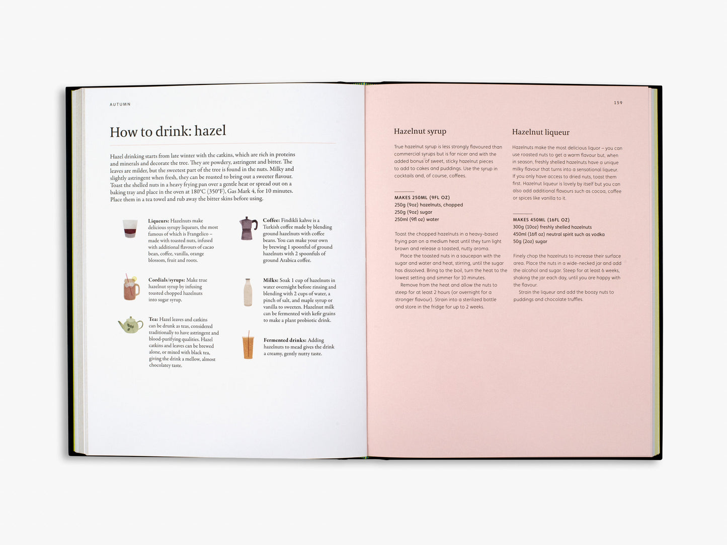 A Forager's Guide to Wild Drinks