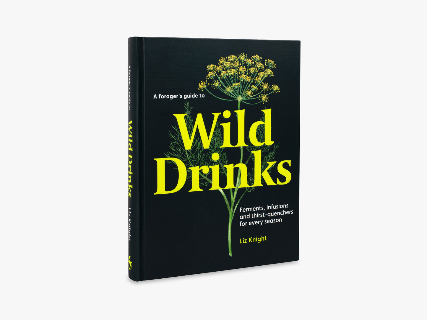 A Forager's Guide to Wild Drinks