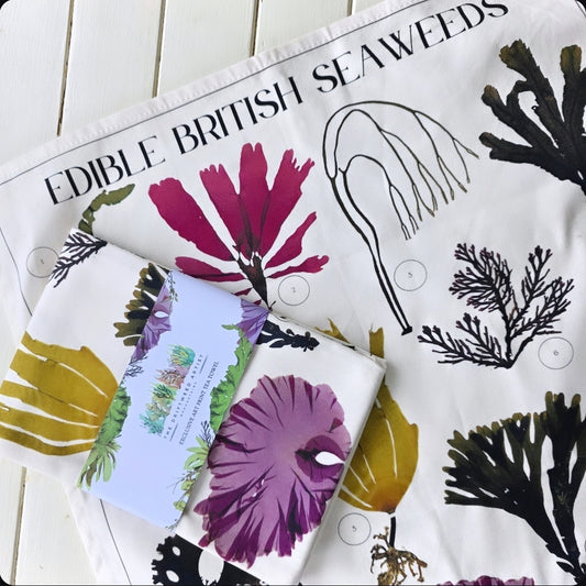 Edible British Seaweeds Tea Towel by The Driftweed Artist