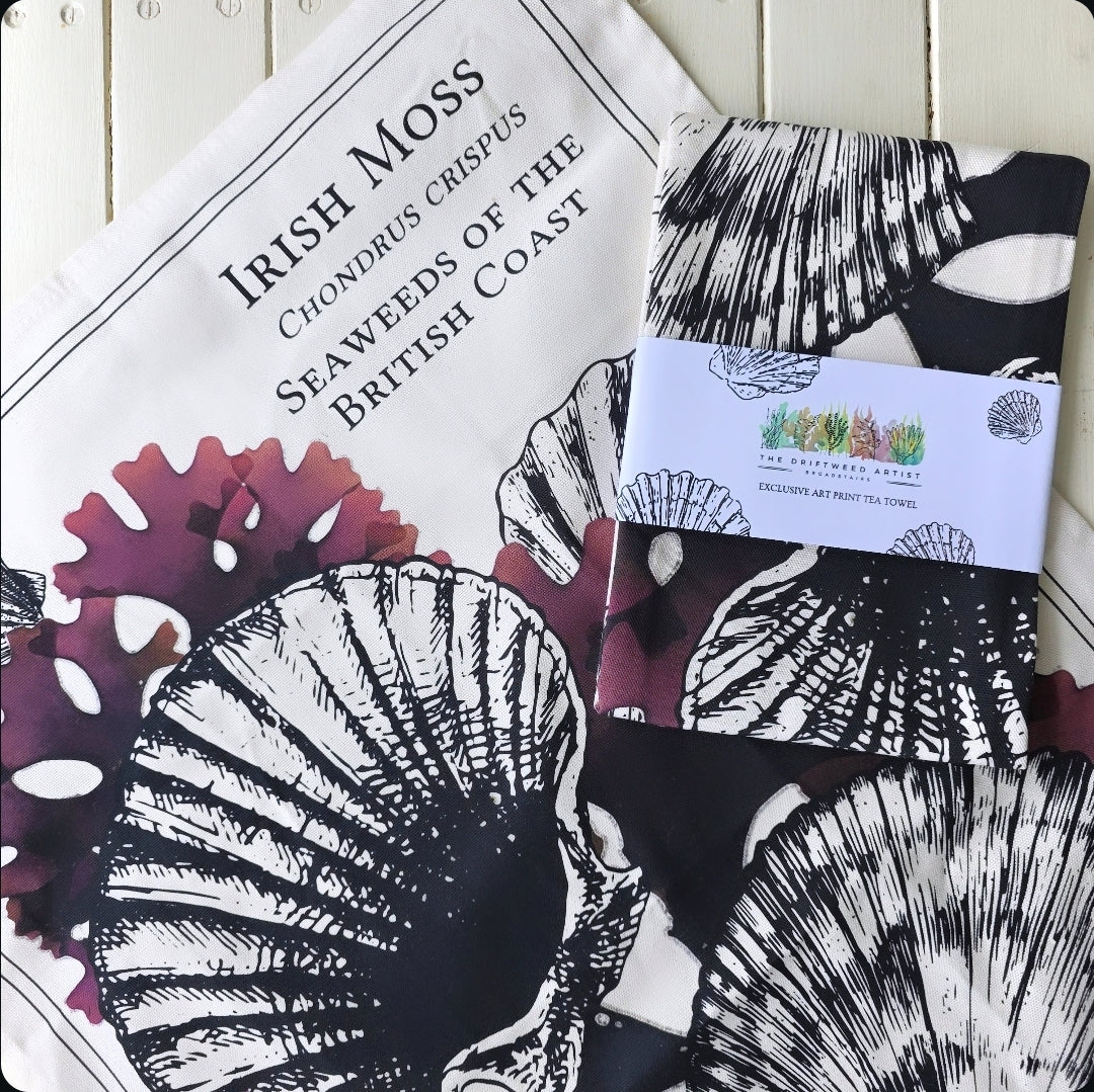 Scallop Tea Towel by The Driftweed Artist