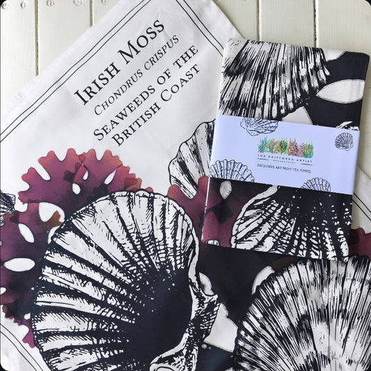 Scallop Tea Towel by The Driftweed Artist