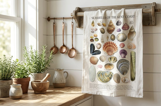 Seashells of the Kent Coast Tea Towel by The Driftweed Artist