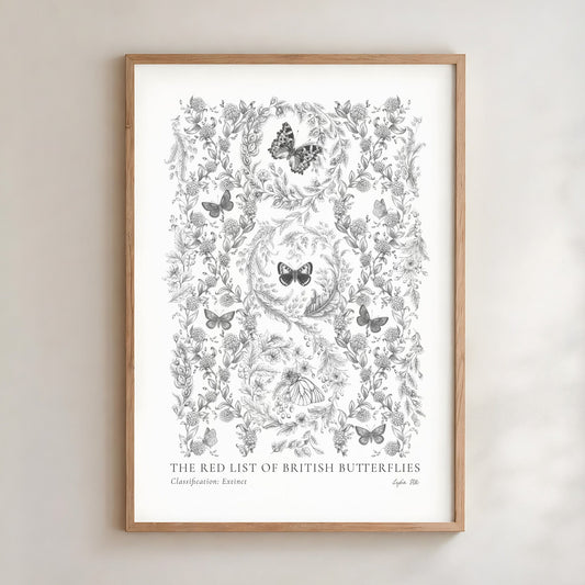 Graphite drawings of extinct British butterflies, by Lydia Hill