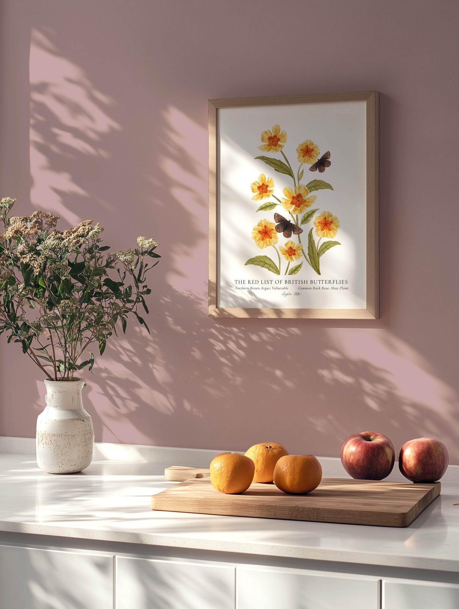 Northern Brown Argus print framed and hung on a wall