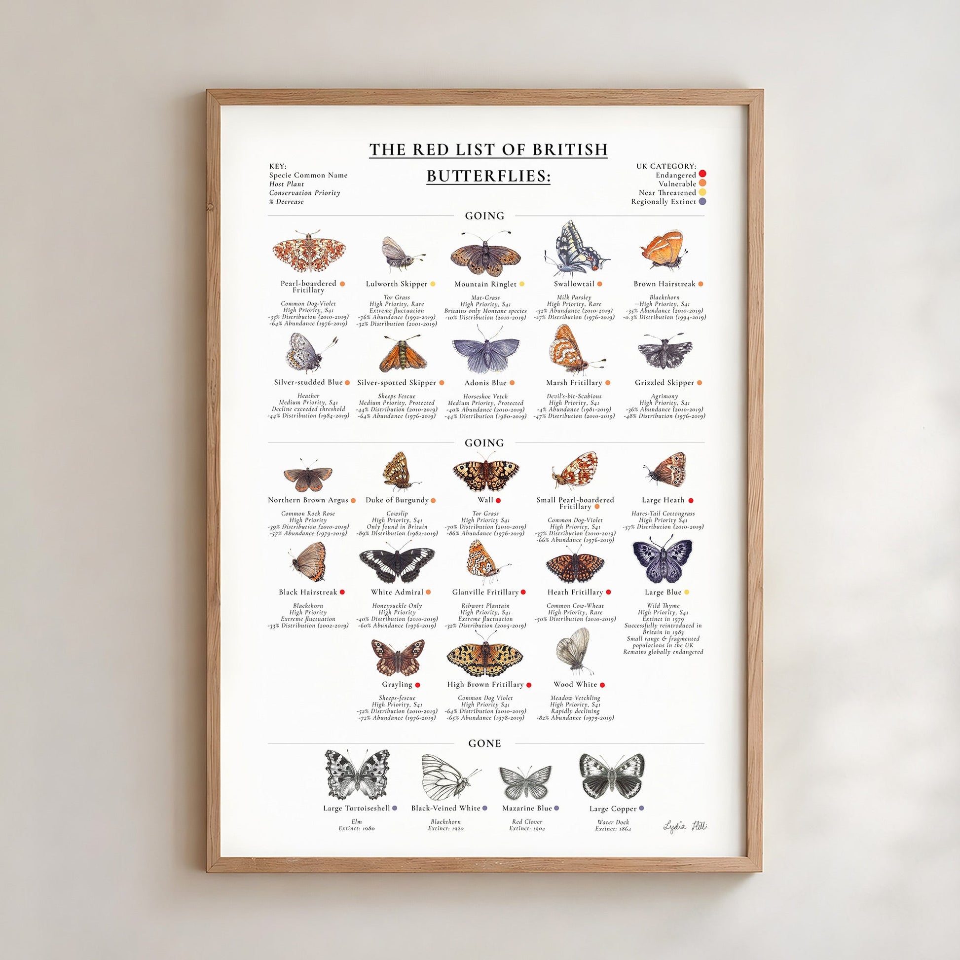 Index print of twelve threatened British butterflies with common and Latin names, by Lydia Hill