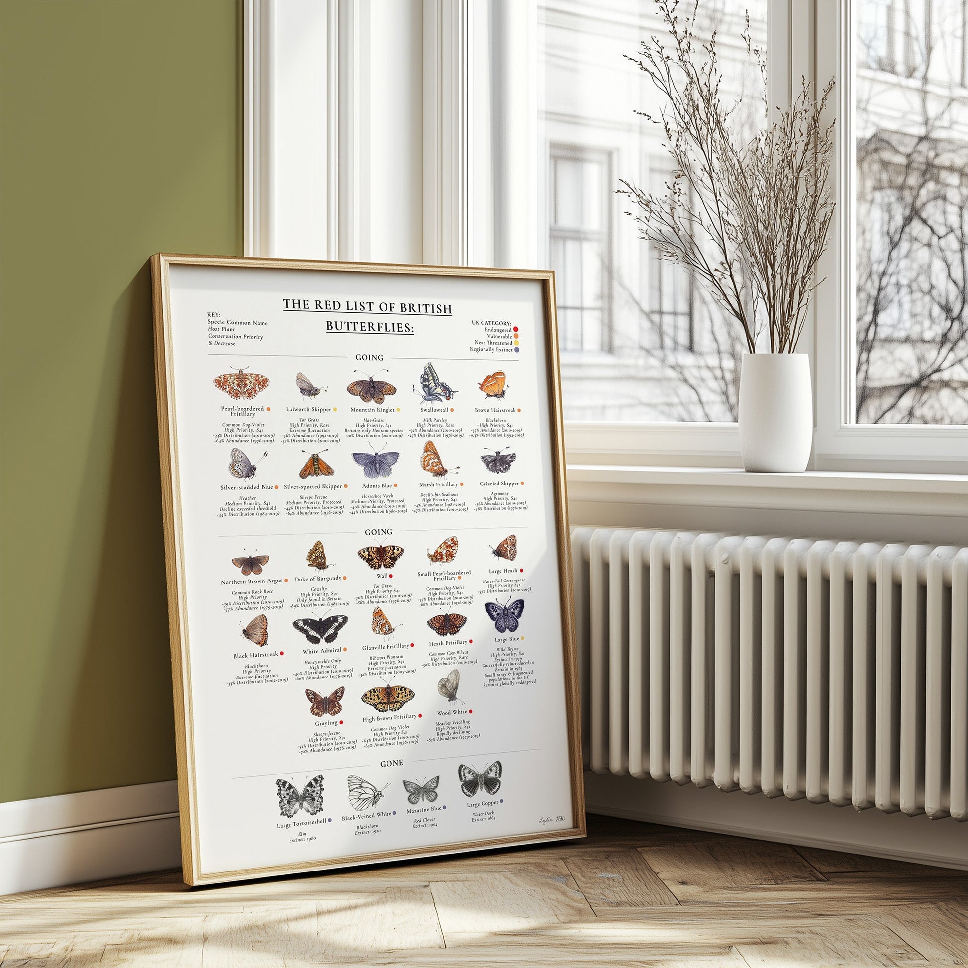 The Red List of British Butterflies print framed and hung on a wall