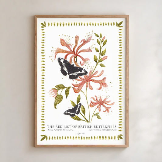 Hand-painted print of two White Admiral butterflies on honeysuckle, by Lydia Hill